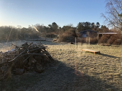 frost morgen
